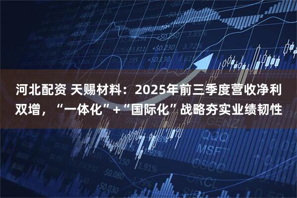 河北配资 天赐材料：2025年前三季度营收净利双增，“一体化”+“国际化”战略夯实业绩韧性